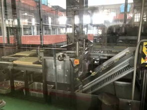 104班云朵家研学之旅 探秘祖名豆腐厂，品味传统工艺的现代传承